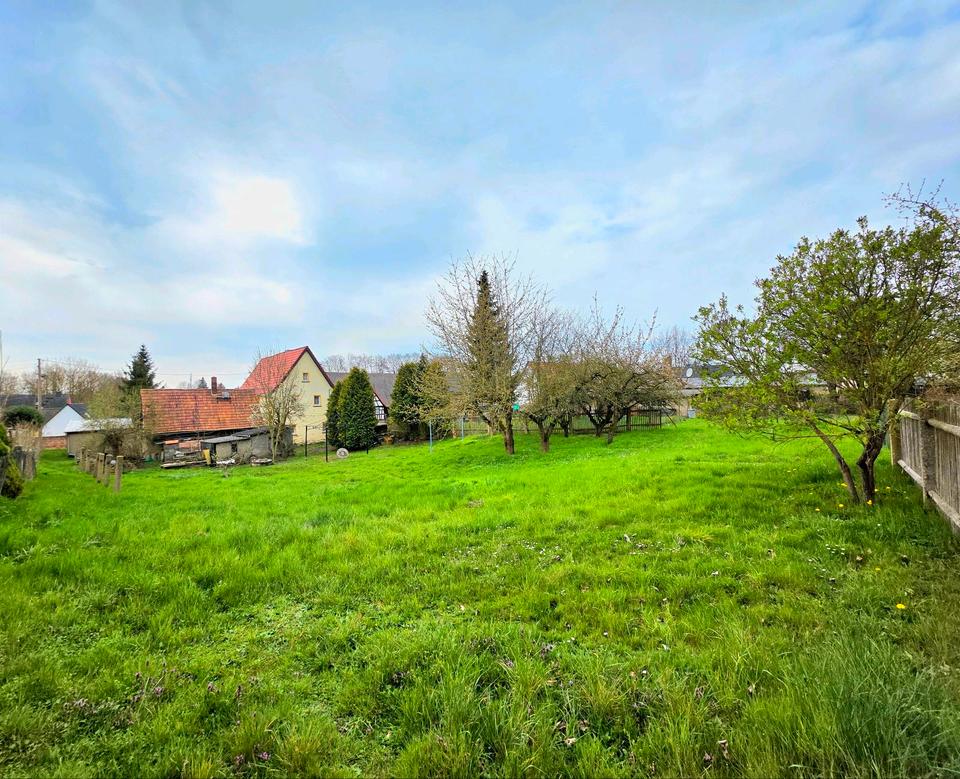 Thumbnail-Haus mit großem Grundstück in ruhiger Lage (Großbraunshain)