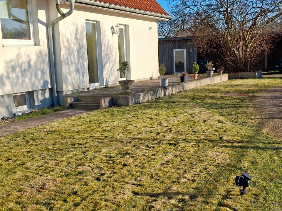 Thumbnail-WG Zimmer zu Vermieten