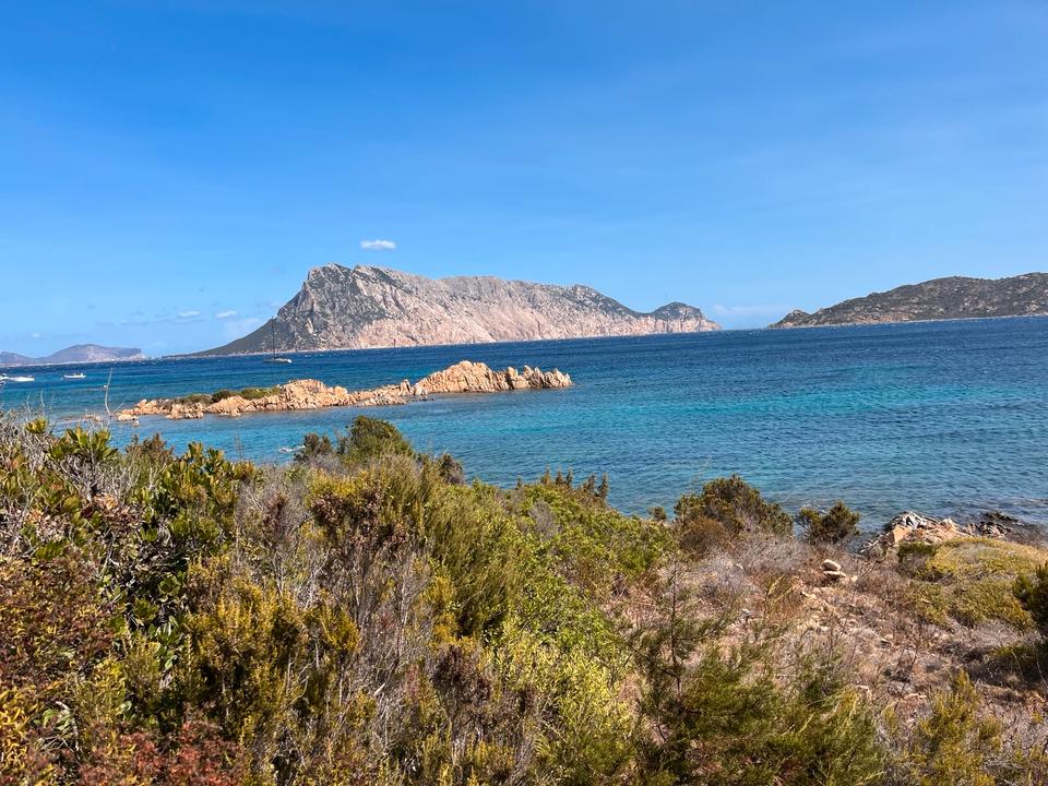 Thumbnail-Ferienhaus auf Sardinien Nahe San Teodoro zu vermieten