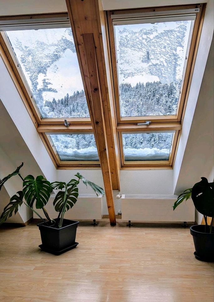 Thumbnail-Gemütliche Ferienwohnung am Wald in Triberg