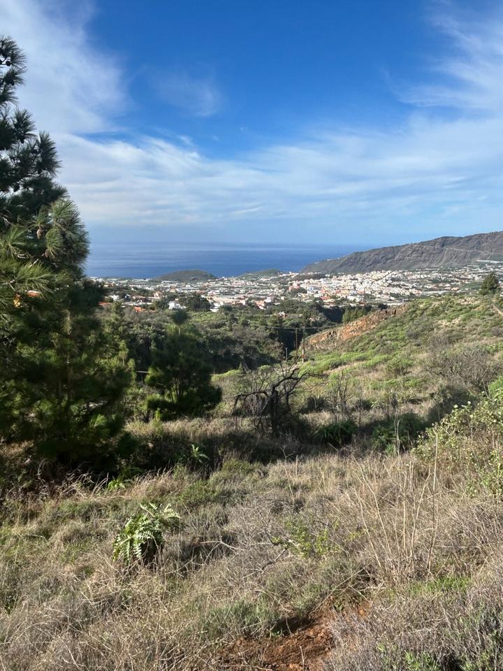 Thumbnail-Grundstück Kanareninsel La Palma von Privat