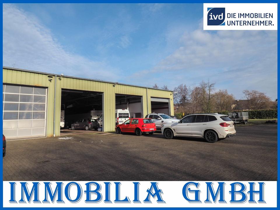 Thumbnail-GEWERBE - Interessante Gewerbehalle mit Hebebühne und Waschanlage in 66482 Zweibrücken