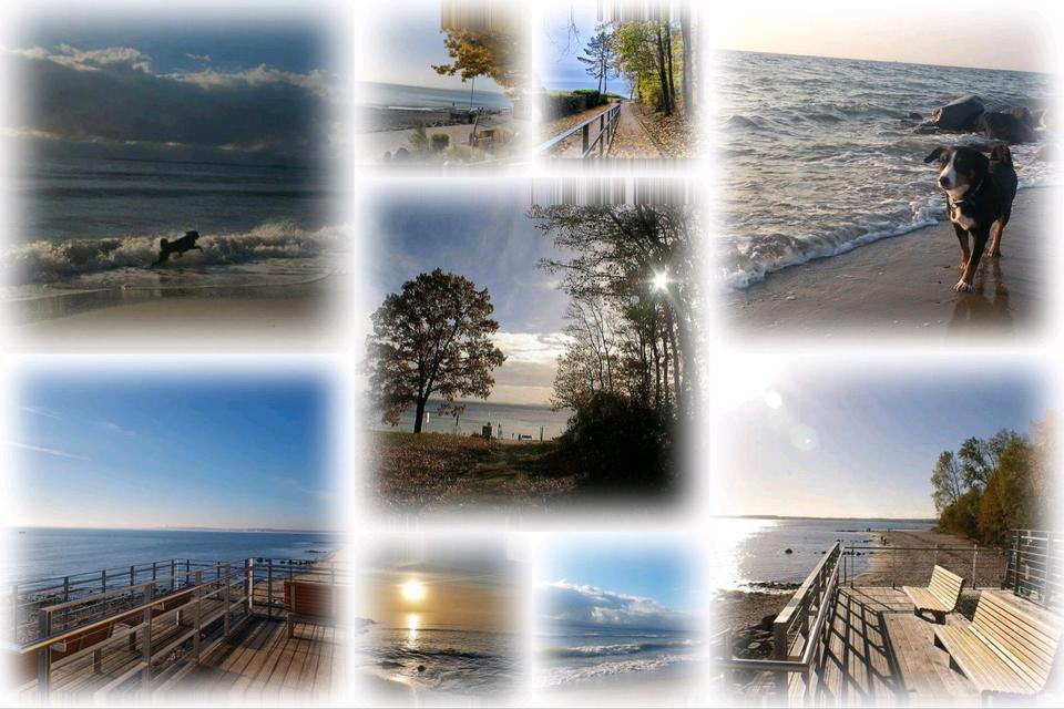 Thumbnail-Herbstferien Ostsee strandnah Ferienwohnung Unterkunft ab