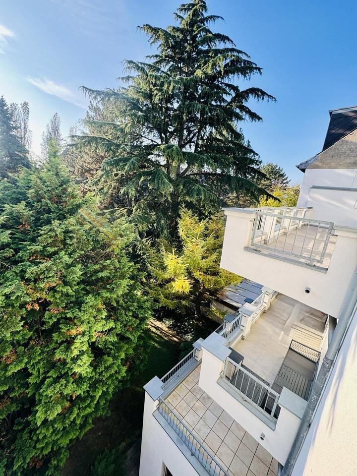 Thumbnail-Mehrfamilienhaus in Golzheim mit 2 freien großen Terrassenwohnung