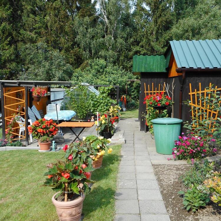 Thumbnail-Kleingarten, Garten, Naschgarten