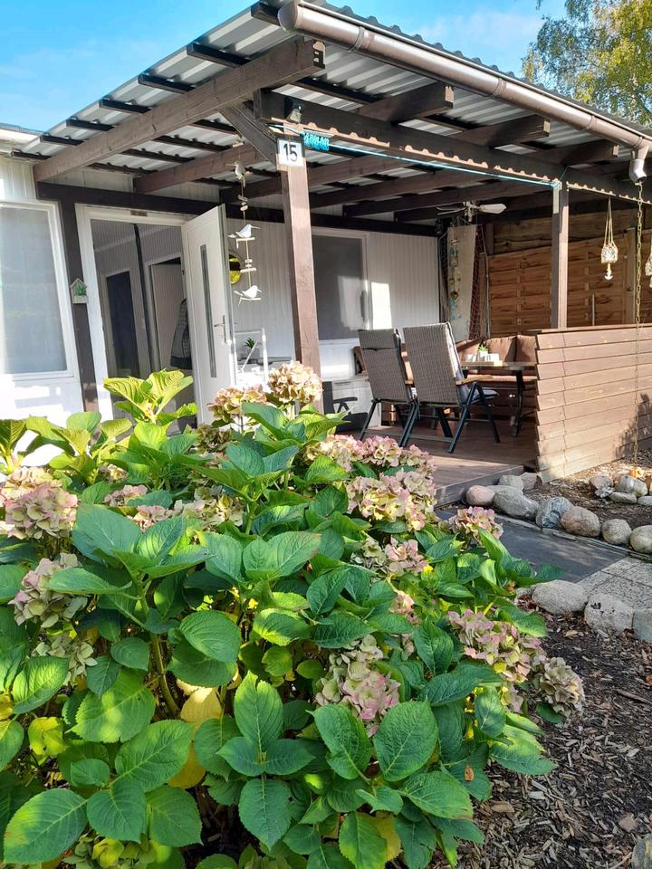 Thumbnail-Ferienhaus, Ferienwohnung, Bungalow, Ostsee, Rügen Urlaub