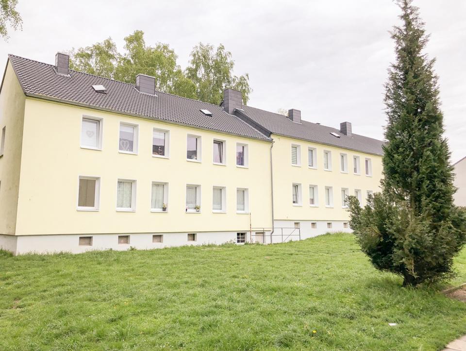 Thumbnail-Frisch Sanierte Wohnung ab sofort verfügbar.