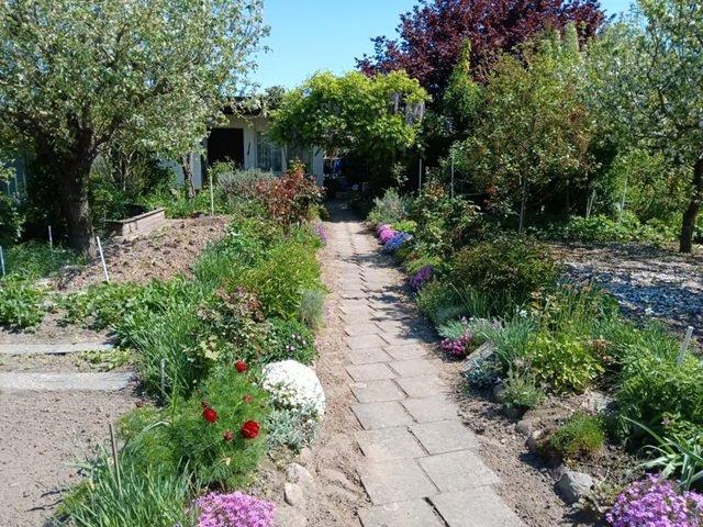 Thumbnail-Erholung pur Garten in 04564 Böhlen Top mit massiver Laube