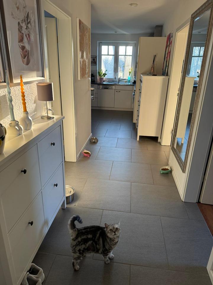 Thumbnail-Dachgeschoßwohnung 2 Zimmer