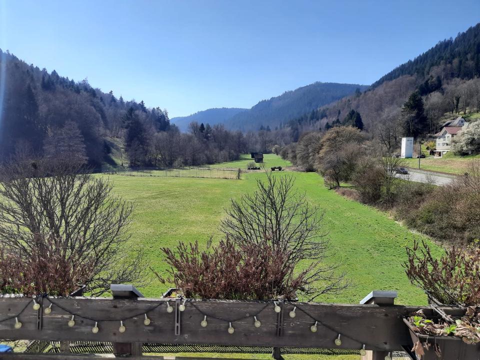 Thumbnail-Traumhafte 2,5 Zimmer Wohnung in Bad Wildbad - Calmbach