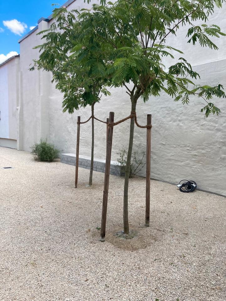 Thumbnail-Neubau (2022) im Ortskern von Arheilgen