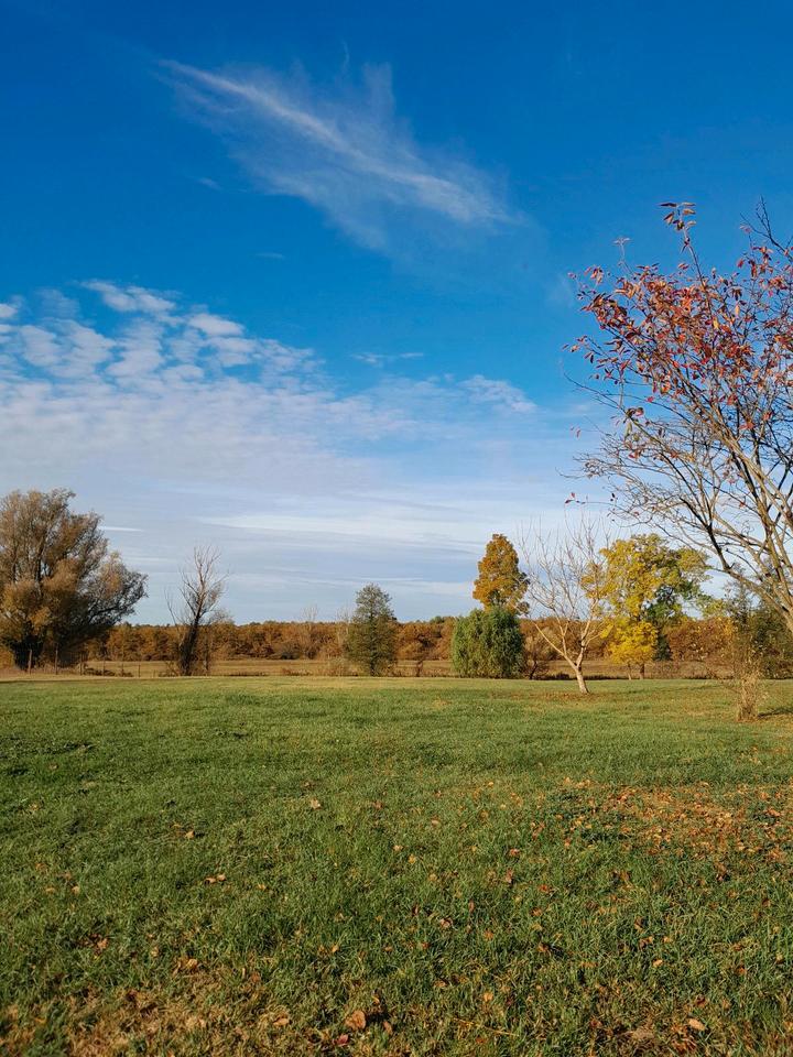 Thumbnail-Villa nahe Sudmerberg kein Denkmalschutz