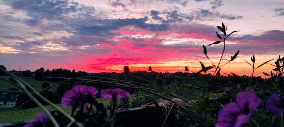 Thumbnail-Einfamilienhaus mit Einliegerwohnung