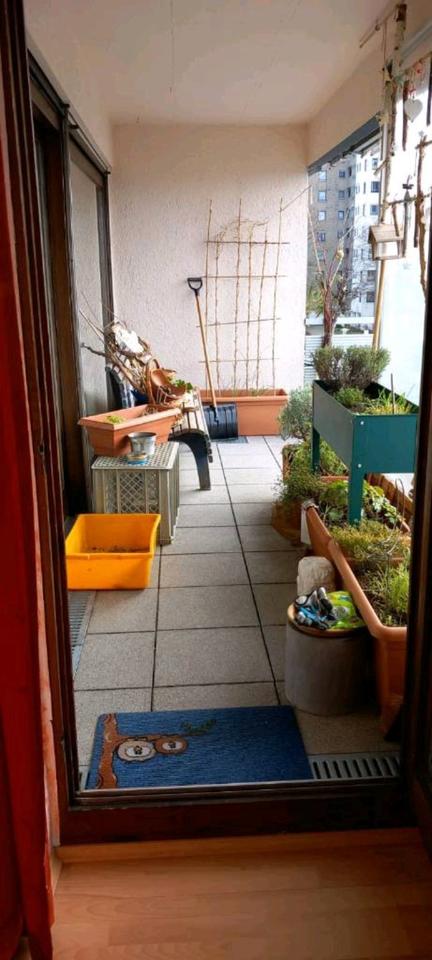 Thumbnail-Schöne Wohnung mit Dachterrasse in Wangen- Waltersbühl von Privat