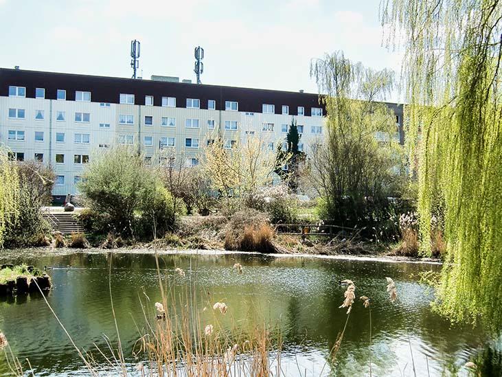 Thumbnail-Platz für die ganze Familie!