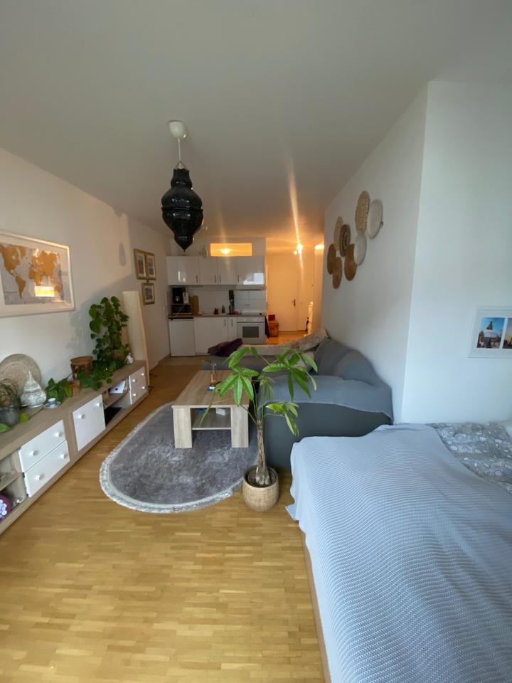 Thumbnail-Einraumwohnung zur Untermiete Dresden Rosengarten