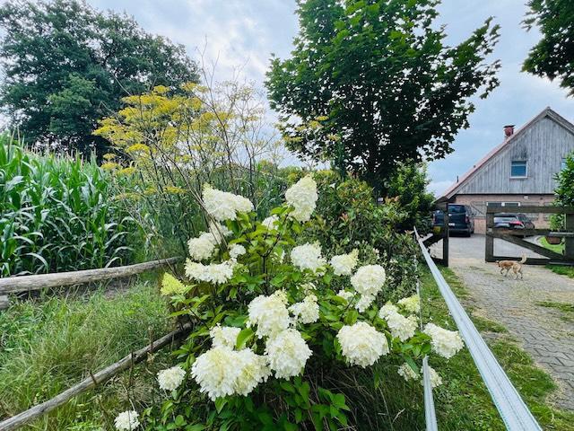 Thumbnail-Moderner Resthof Pferdehof - Hochwertige Alleinlage im Grünen