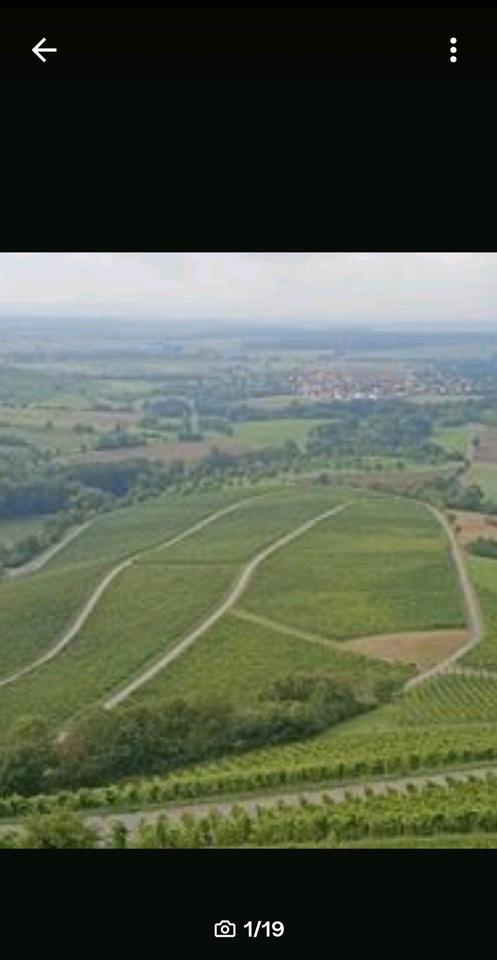 Thumbnail-Ferienwohnung Meeblick Volkach, OT Köhler