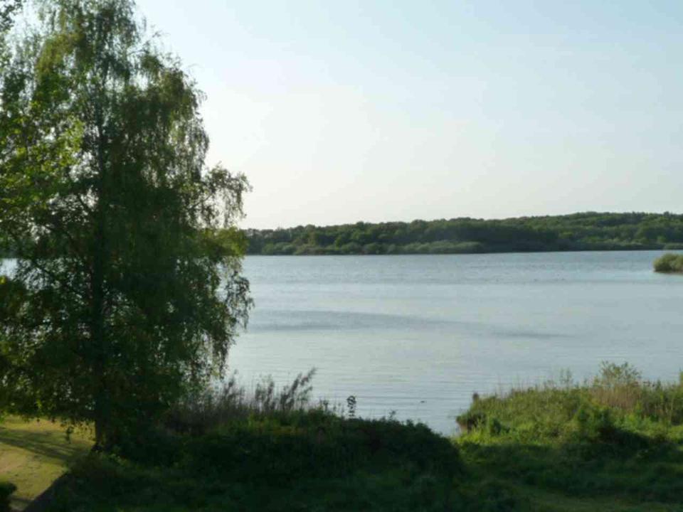 Thumbnail-Haus in Seenähe,Provisionsfrei,Einfelder See,Kamin,Gewächshaus