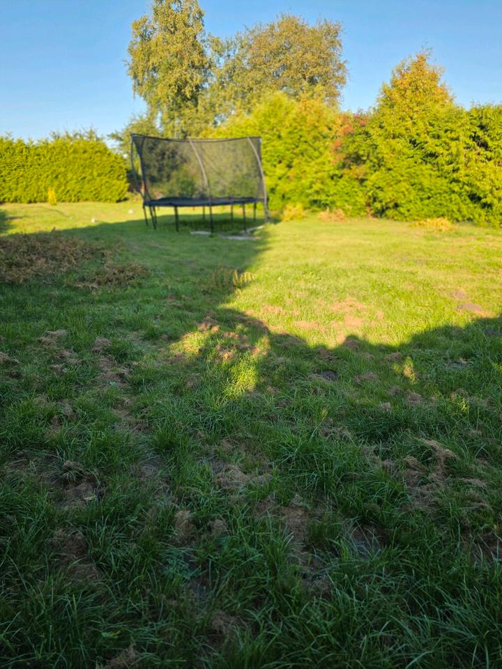 Thumbnail-Baugrundstück in Warsingsfehn, letzte Chance ,dann Makler