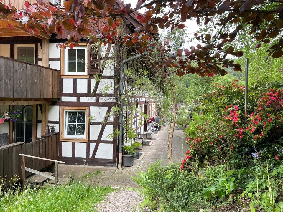 Thumbnail-Sanierte Wohnung am Waldrand in historischem Fachwerkhaus