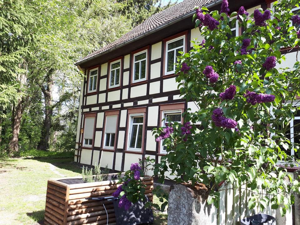 Thumbnail-Naturgrundstück mit Haus und Nebengebäude an der Jeetze