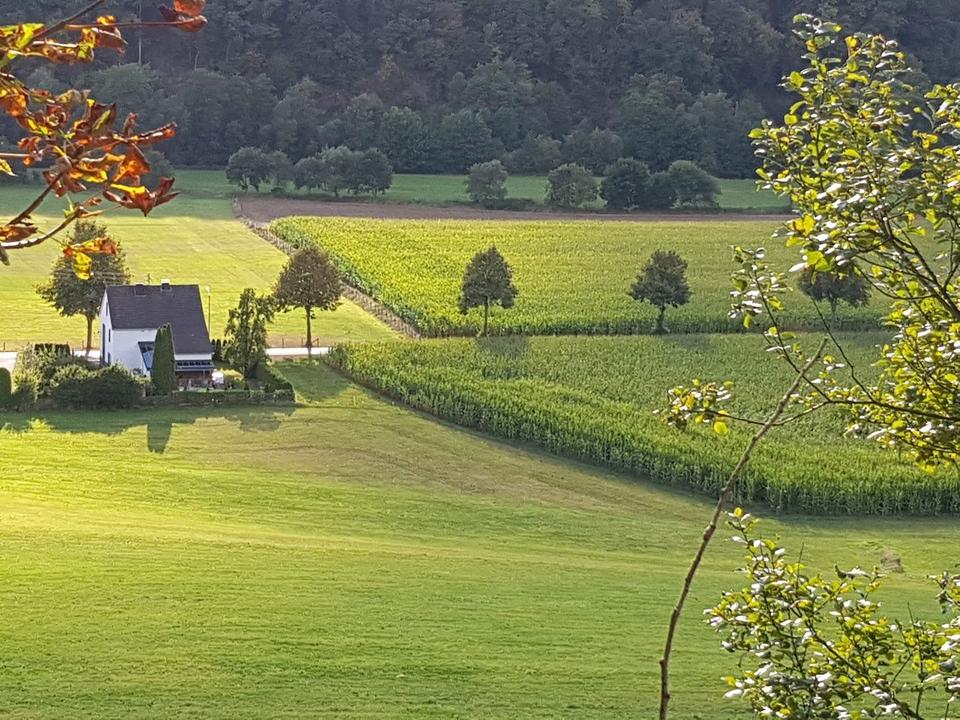 Thumbnail-EINFAMILIENHAUS in 57368 LENNESTADT Eigennutzung Vermietung