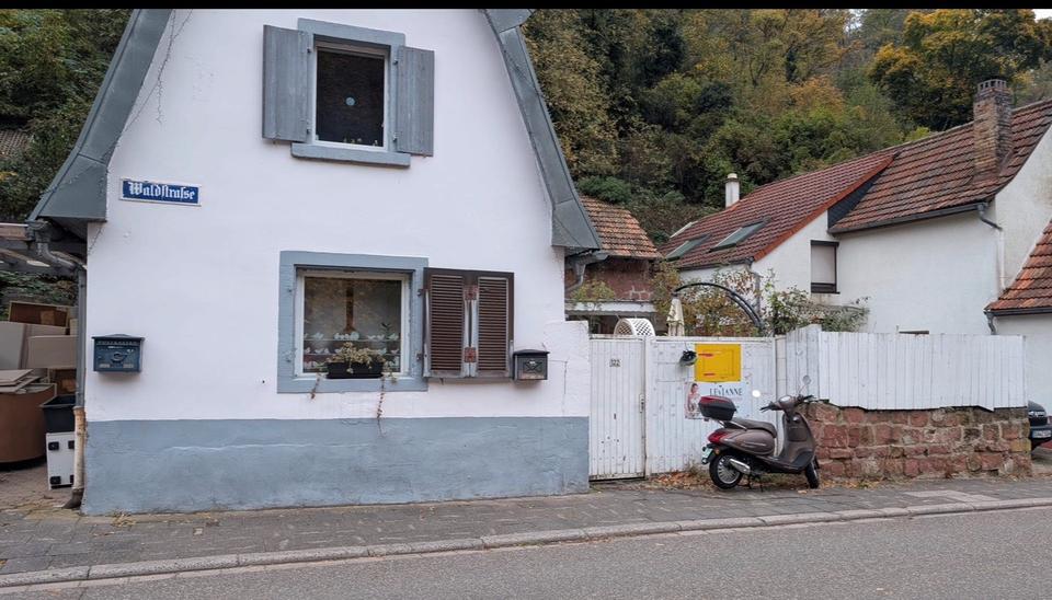 Thumbnail-Gemütliches Haus mit Waldhang-Grundstück