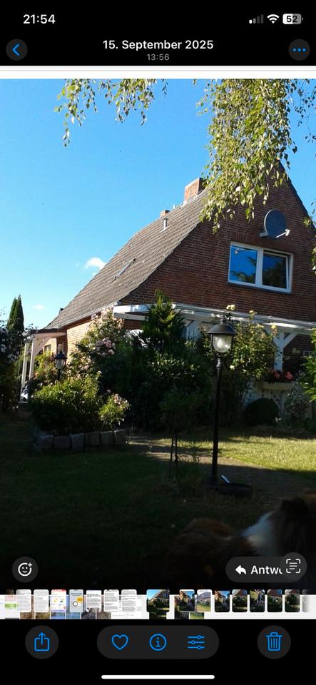 Thumbnail-Einfamilienhaus