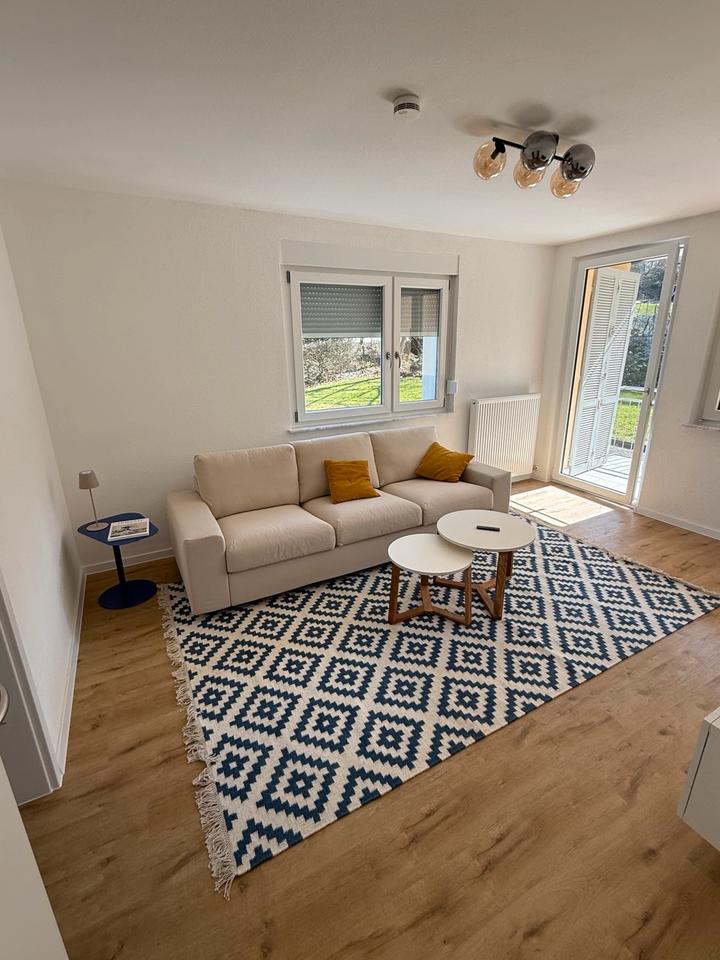 Thumbnail-Möbelierte 2 Zimmer Wohnung in Ulm