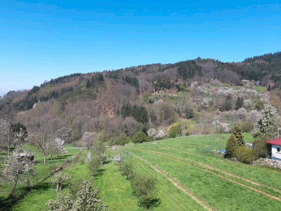 Thumbnail-4 Zimmer Wohnung Bühl-Neusatz