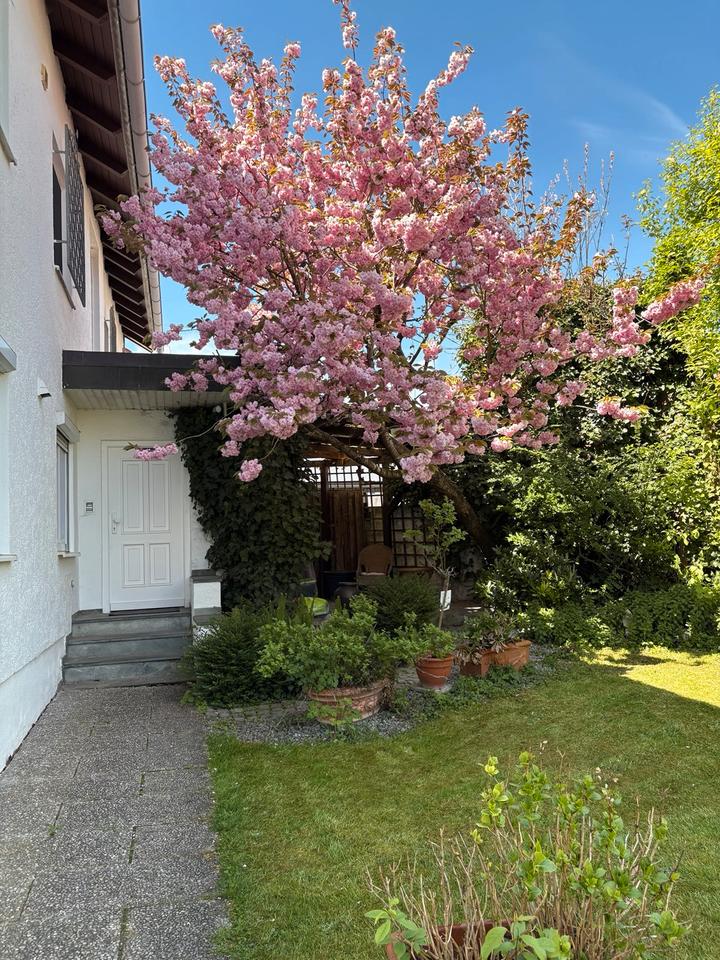Thumbnail-Sonnige 2 12 Zimmerwohnung mit Balkon