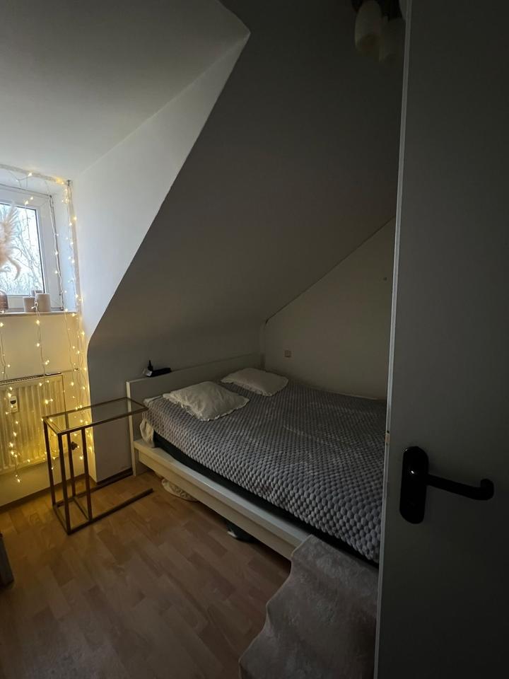 Thumbnail-Dachgeschoss Carl-Schurz-Straße