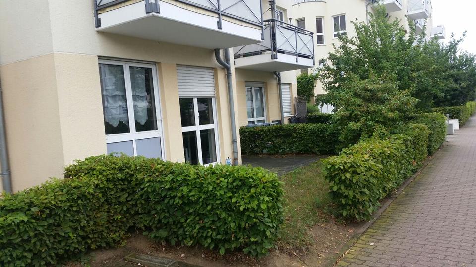 Thumbnail-1-Raum-Wohnung mit separater Küche und Terrasse