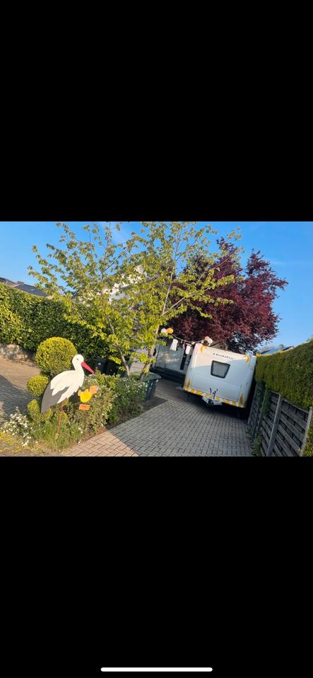 Thumbnail-EG Wohnung zur Miete in Düren Birgel