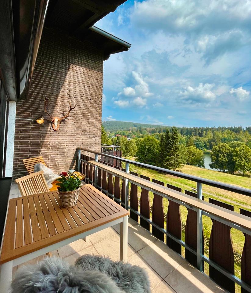 Thumbnail-Ferienwohnung im Harz mit Blick auf Berg, Wald und See