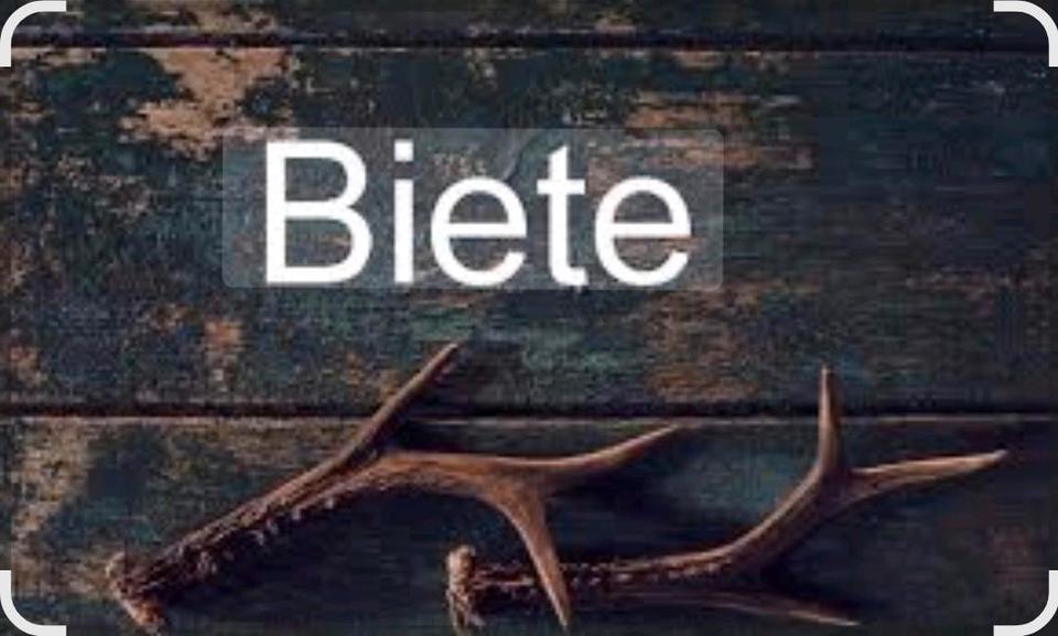 Thumbnail-3 Zimmer Wohnung in Remseck am Neckar