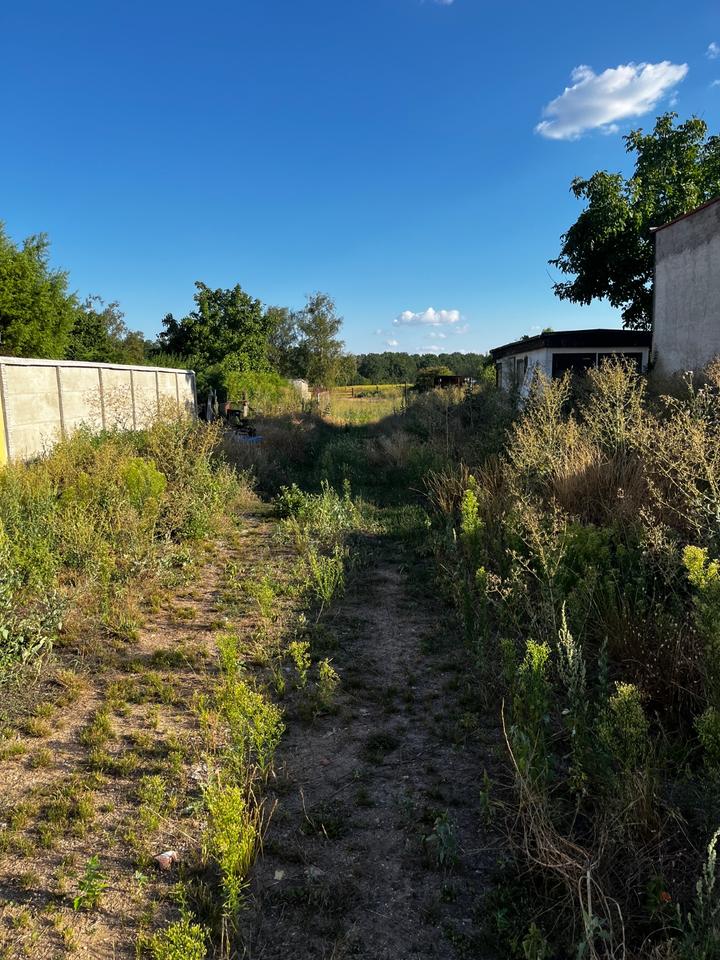 Thumbnail-Baugrundstück ruhig am Wald nähe Kindergarten Kochstedt