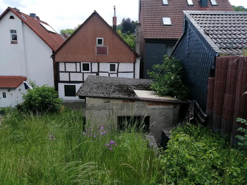 Thumbnail-Sonniges Haus am Waldrand in Lauenstein