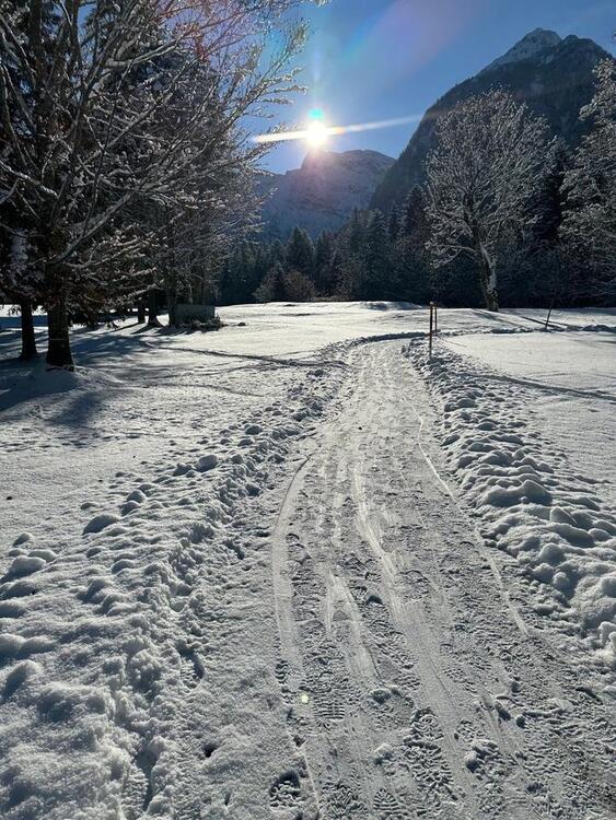 Thumbnail-freie, renovierte, ruhige und elegante 2,5-Zimmer Wohnung