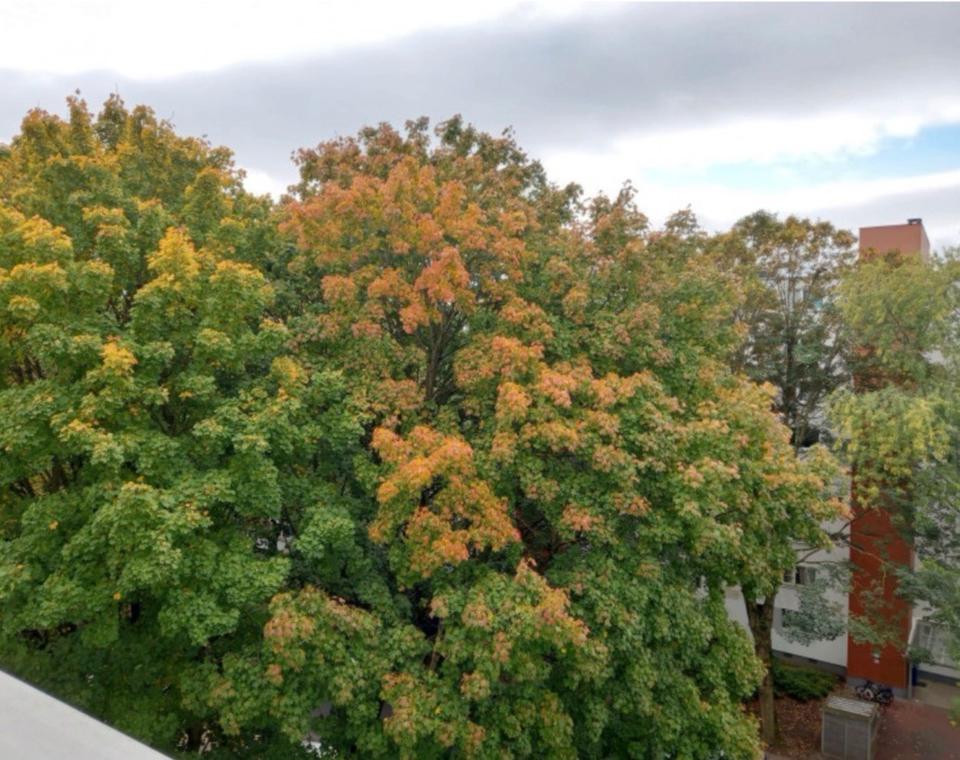 Thumbnail-Mietwohnung Wohnung 3 Zimmer Eigentumswohnung