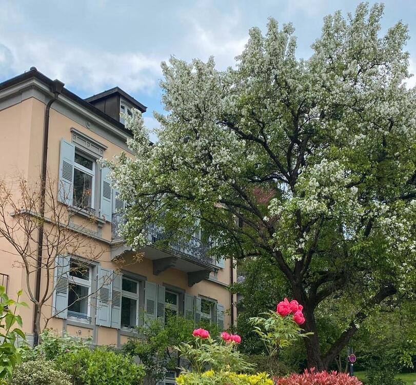 Thumbnail-Exklusive Zweizimmerwohnung