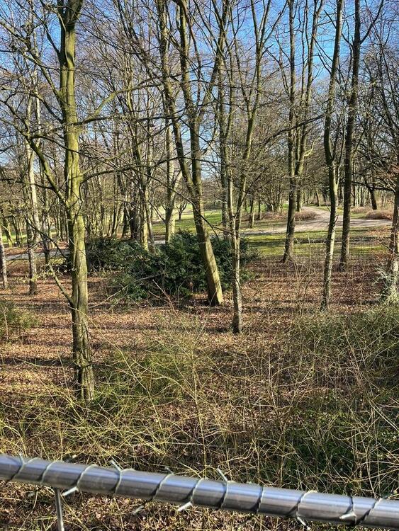 Thumbnail-Wohnung in Gelsenkirchen Buer