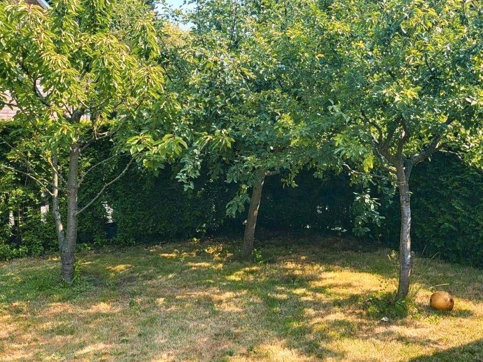 Thumbnail-Einfamilienhaus mit Wasserschaden- Sackgassenlage in Pinneberg