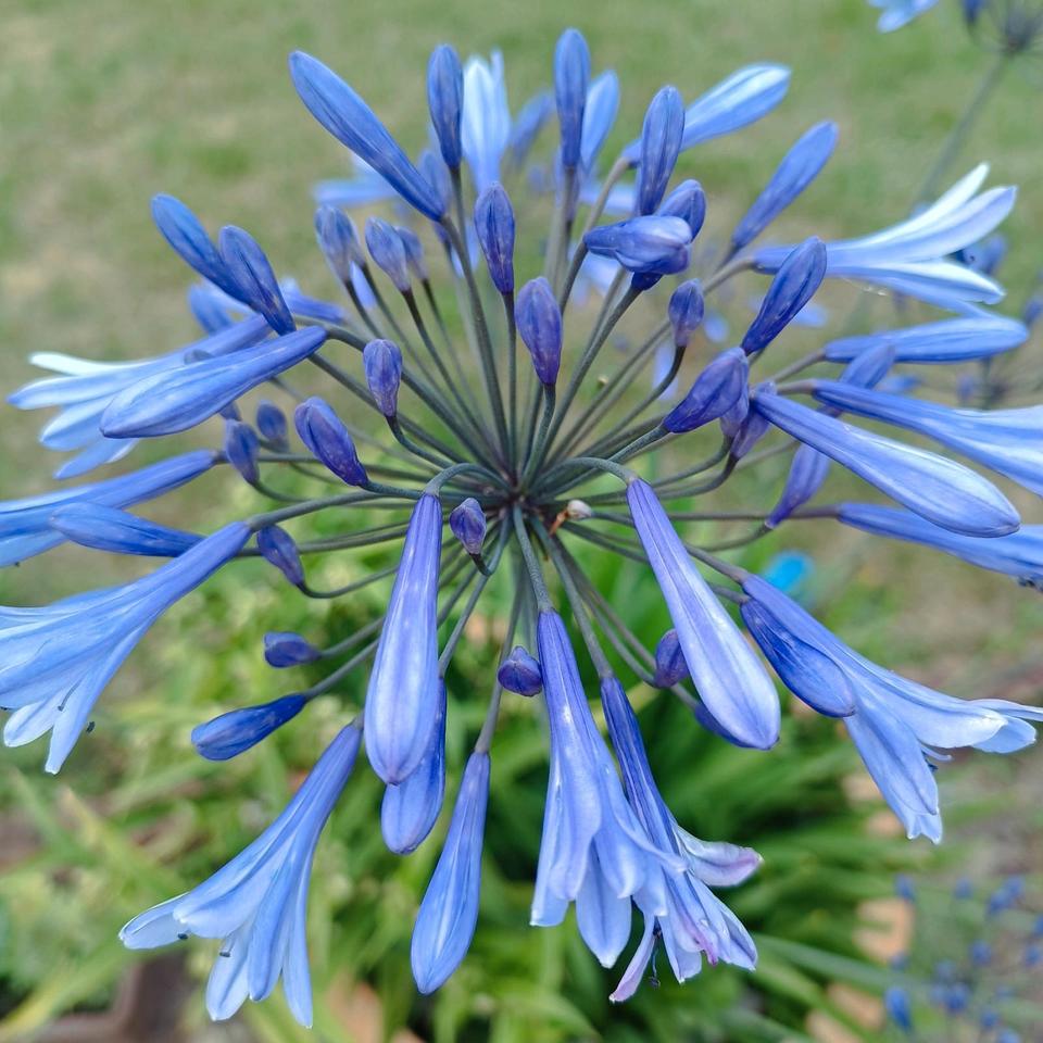 Thumbnail-Wohnung mit 3 Zimmer in Mitten der Stadt, im Grünen☺️