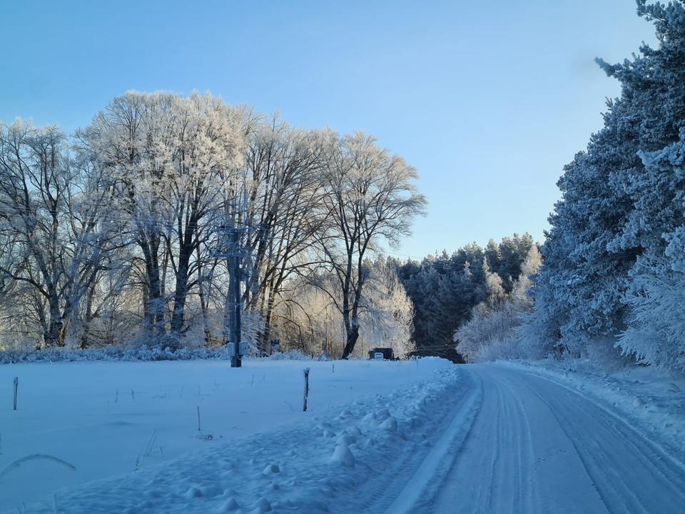 Thumbnail-Ferienwohnung am Rennsteig Thüringer Wald Langlauf Ski