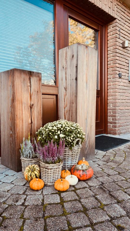 Thumbnail-Großzügige Wohnung 6-Zimmer 2 Stockwerke mit Garten in Marxen