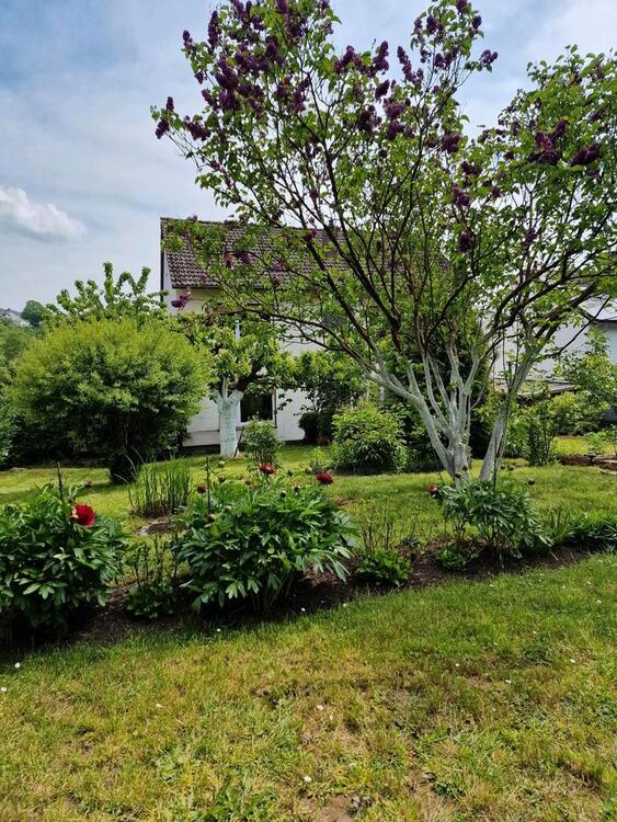 Thumbnail-ZWEIFAMILIENHAUS PROVISIONSFREI