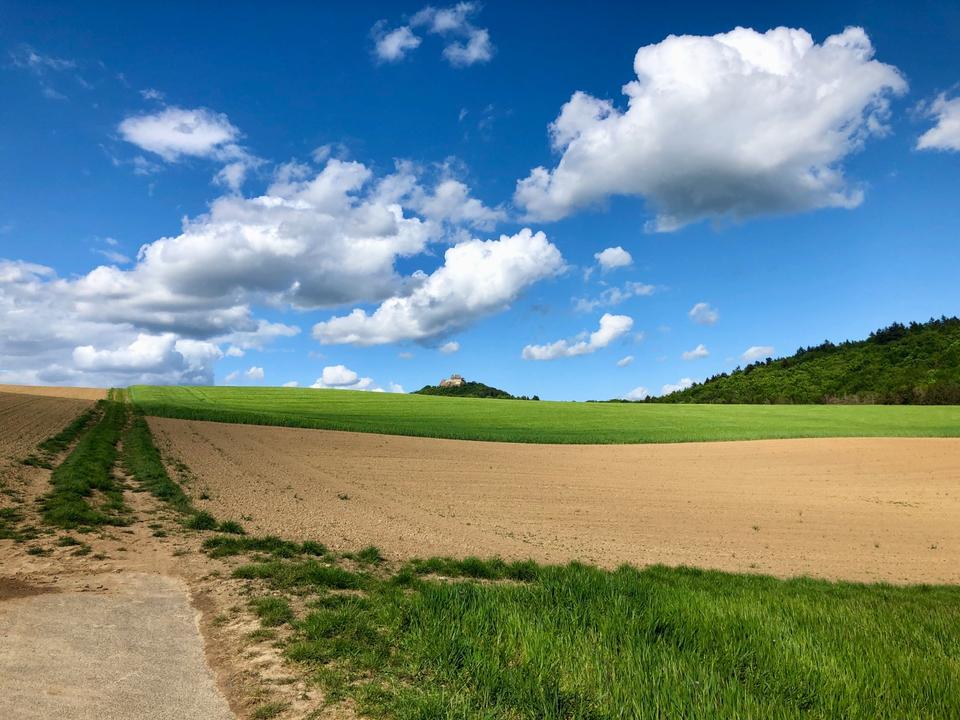 Thumbnail-Nachmieter für TOP 2,5Zi-DG Okli Erstbezug, saniert, hell, Parken