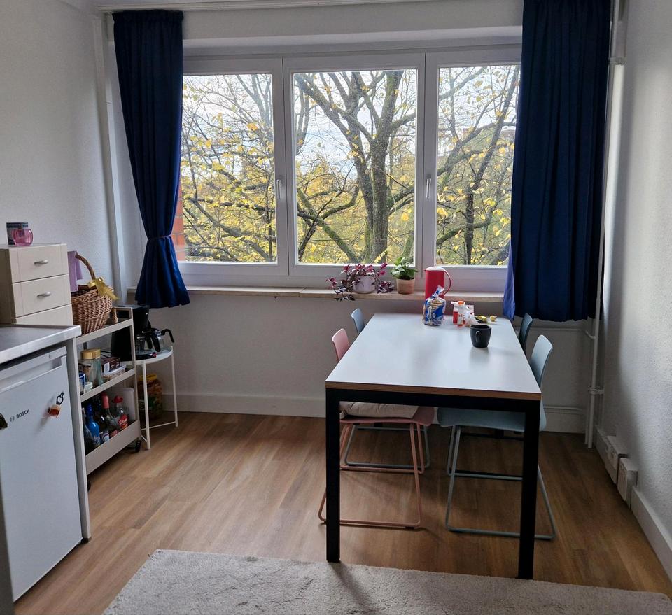 Thumbnail-one-bedroom flat for a female roommate